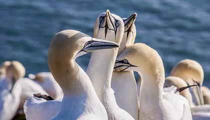 乐鱼体育官方网站-老特拉福德球迷唱“卡塞米罗再待一年吧”，球员妻子致谢