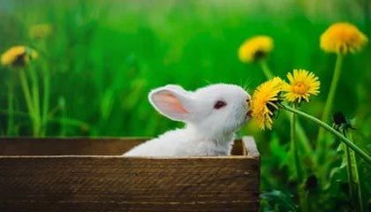 乐鱼体育官方网站-老特拉福德球迷唱“卡塞米罗再待一年吧”，球员妻子致谢